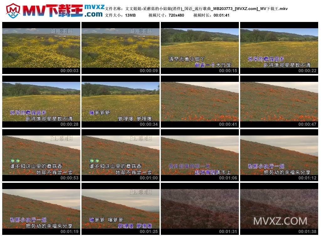 文文姐姐-采蘑菇的小姑娘(消伴)_国语_流行歌曲_MB203773